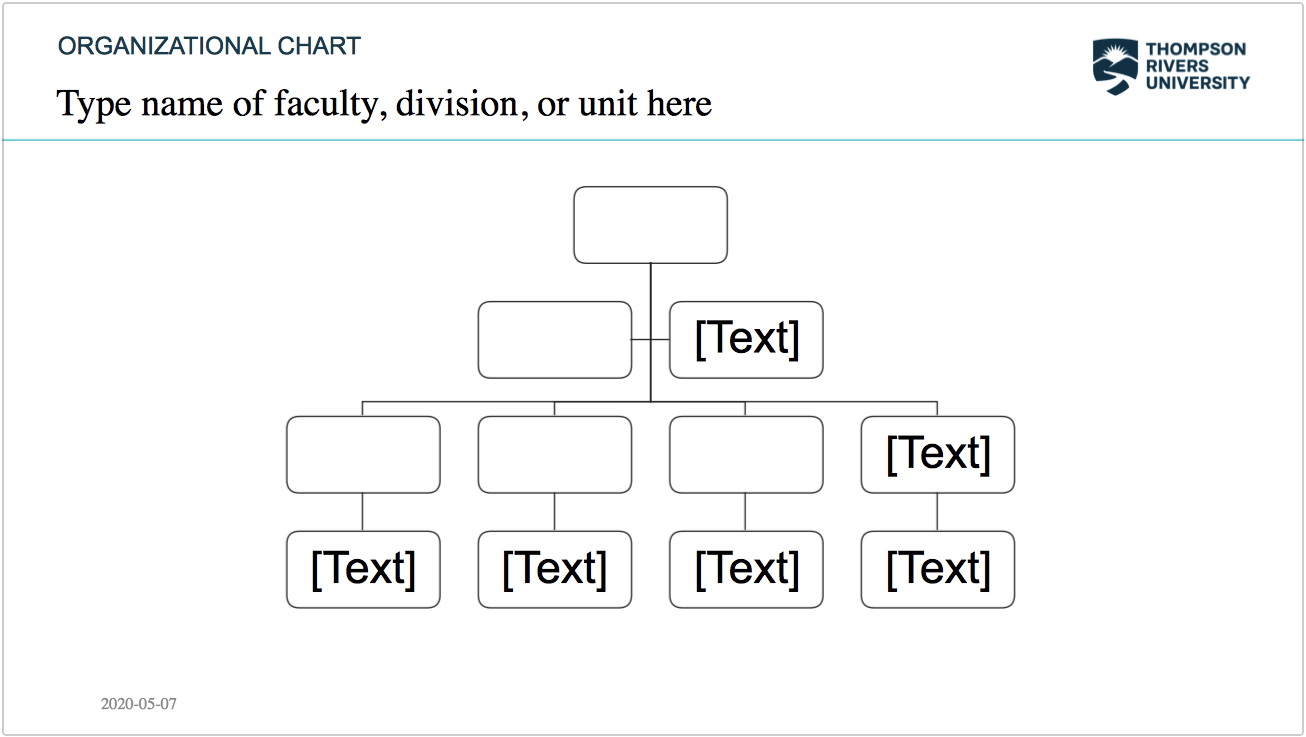 Organization Chart Template