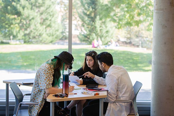 Learning Commons Computers